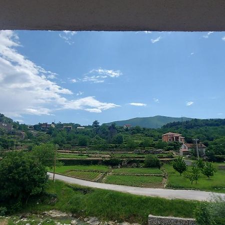 Apartman Nature Zvecanje Luaran gambar