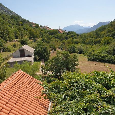 Apartman Nature Zvecanje Luaran gambar